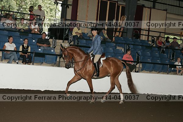 Proof Number r14-04_0037